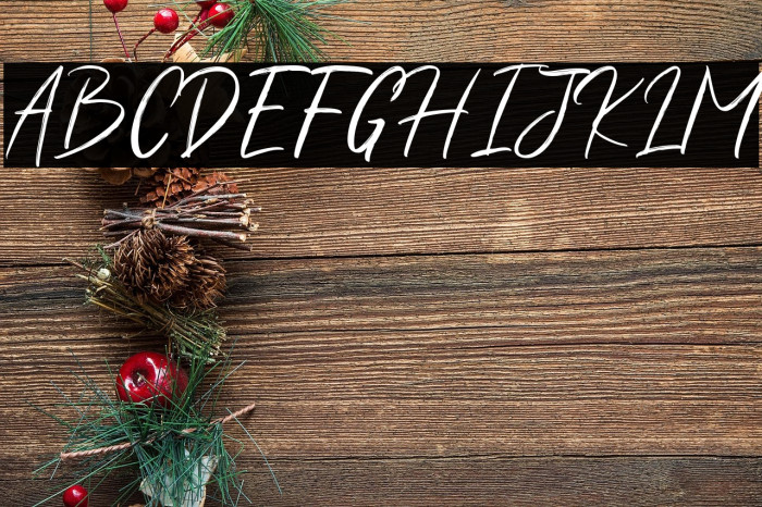 ShuttenReasonFree Example 3