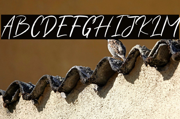 ShuttenReasonFree Example 2