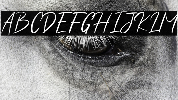 ShuttenReasonFree Example 3