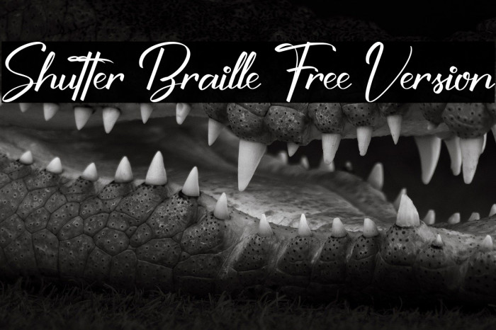 Shutter Braille Free Version Example 3