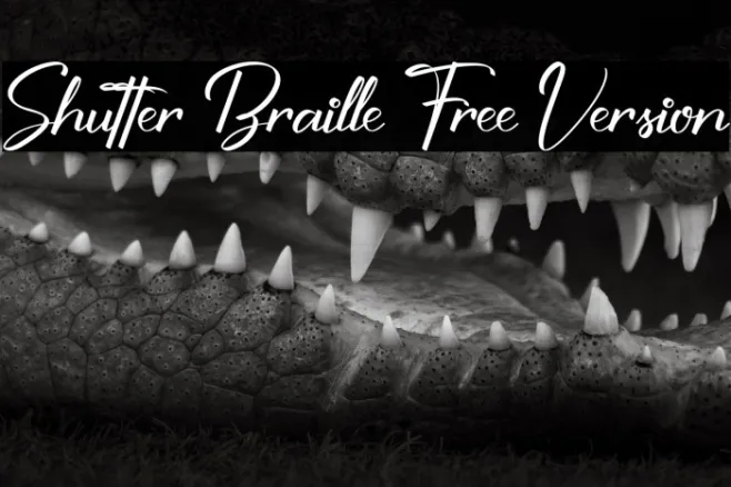 Shutter Braille Free Version Example 3