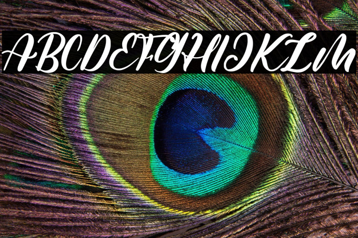 Shutter Times Example 1