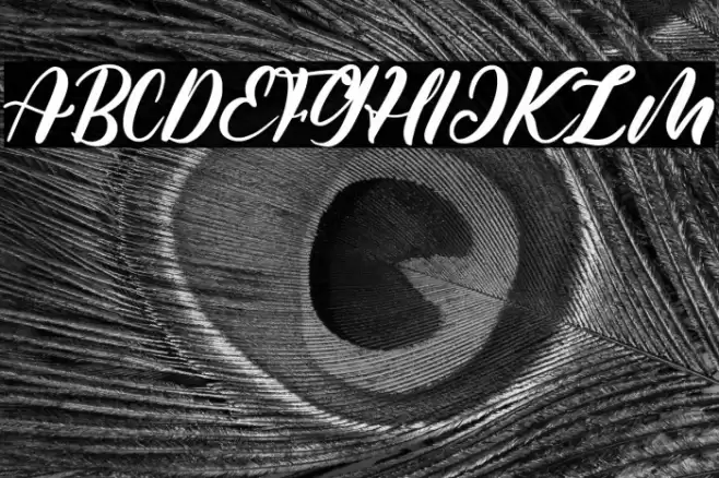 Shutter Times Font examples