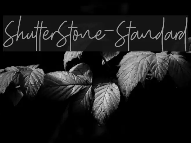 ShutterStone-Standard Font examples