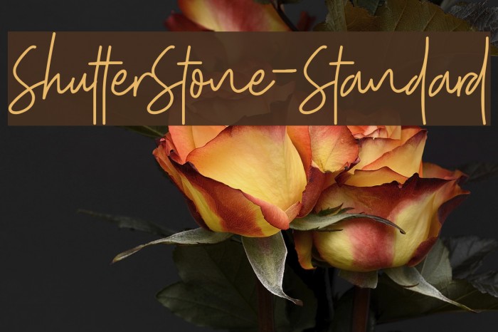 ShutterStone-Standard Font examples