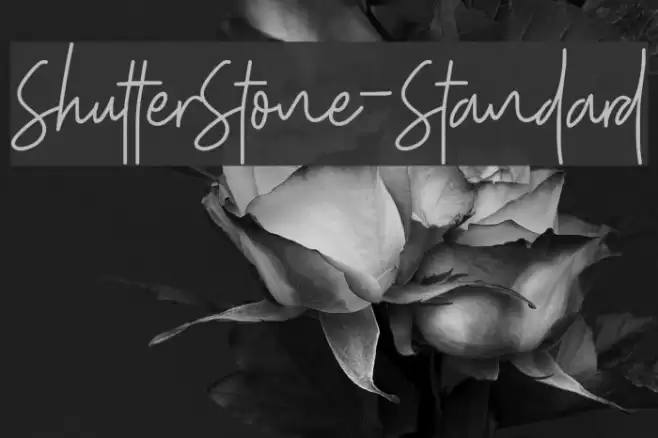 ShutterStone-Standard Font examples
