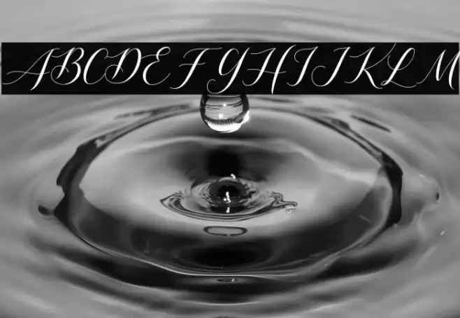 Shutterday Font examples