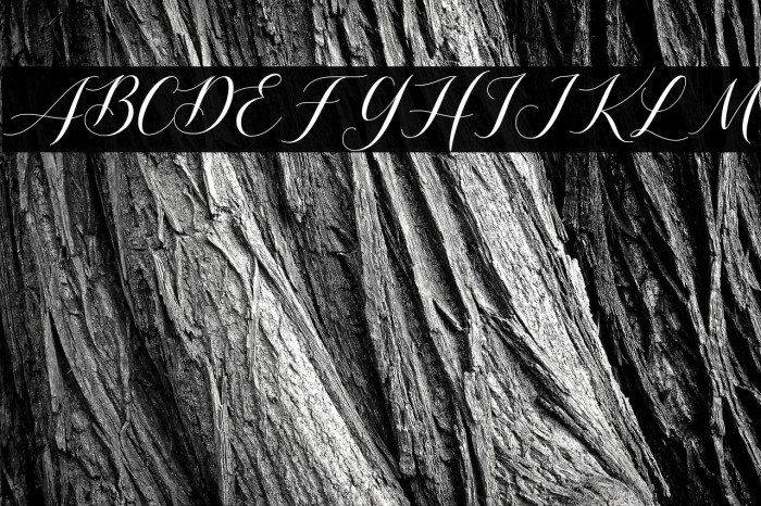 Shutterday Example 3