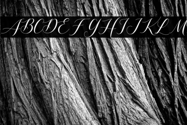 Shutterday Font examples