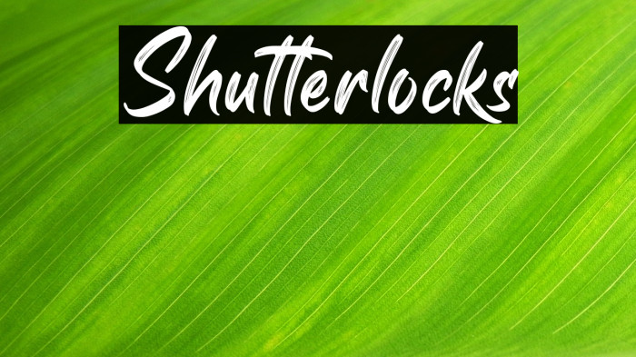 Shutterlocks Example 2