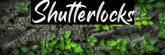 Shutterlocks Example 3