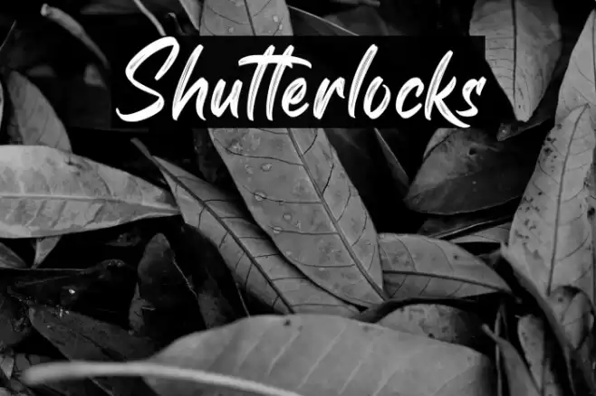 Shutterlocks Font examples