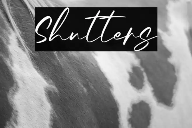 Shutters フォント examples