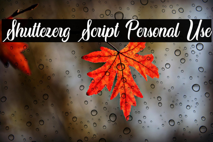 Shuttezerg Script Personal Use Example 1