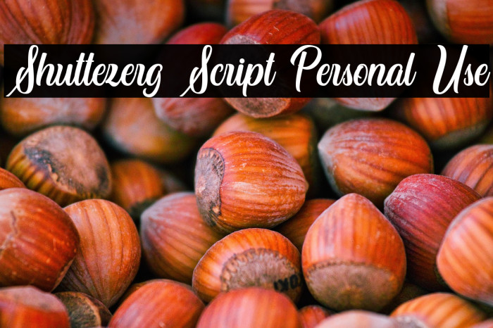 Shuttezerg Script Personal Use Example 3