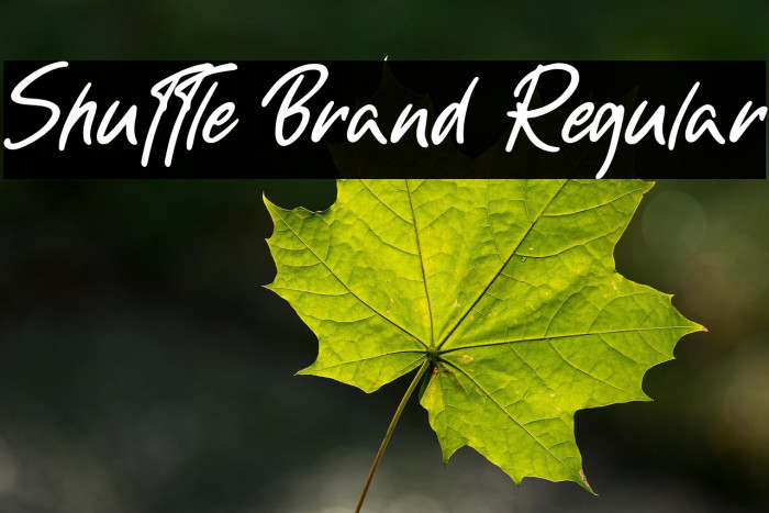 Shuttle Brand Regular Example 2