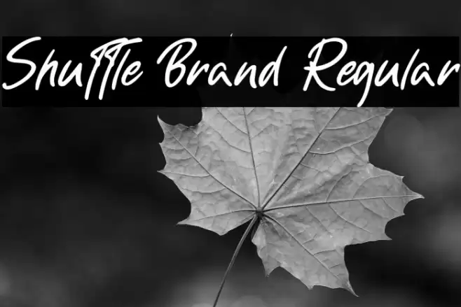 Shuttle Brand Regular Font examples