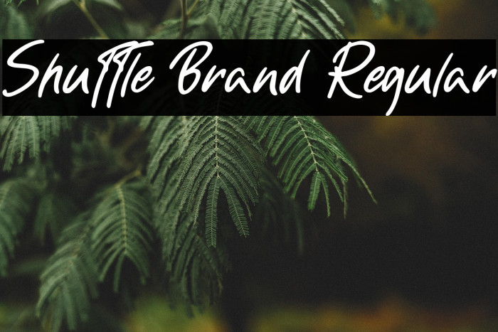 Shuttle Brand Regular Example 3