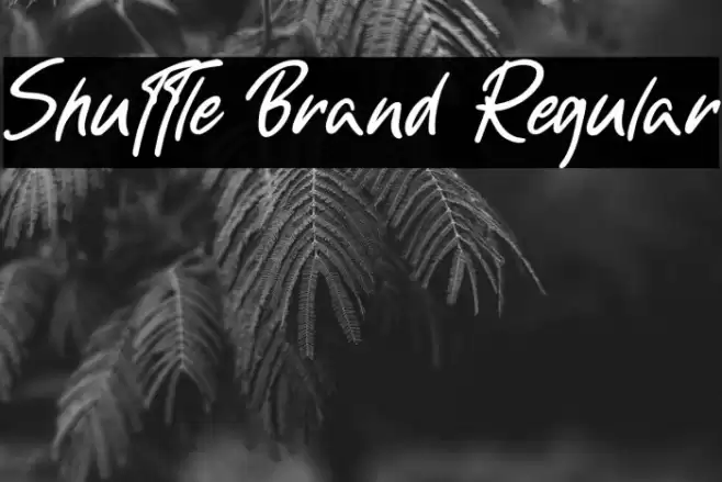 Shuttle Brand Regular Font examples