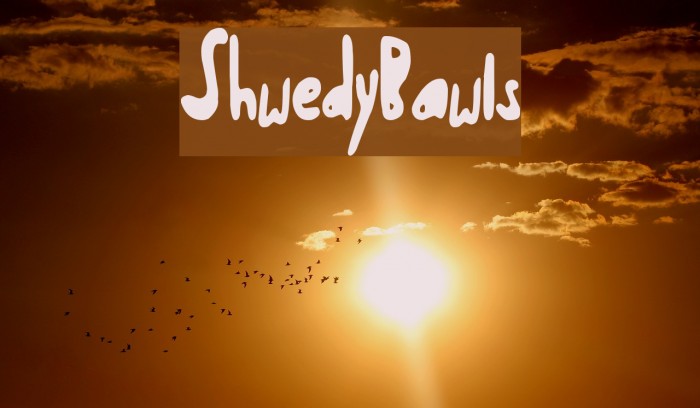ShwedyBawls Font examples