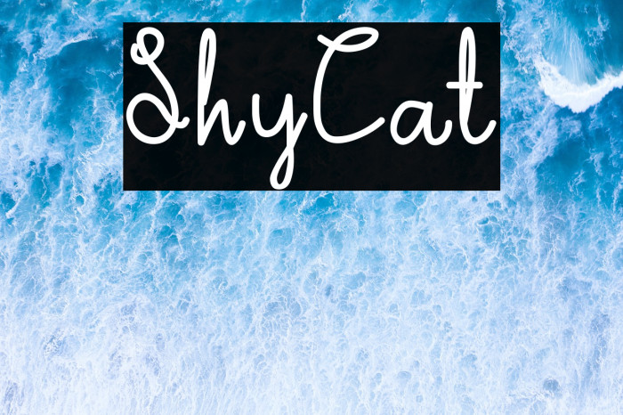 ShyCat Example 2