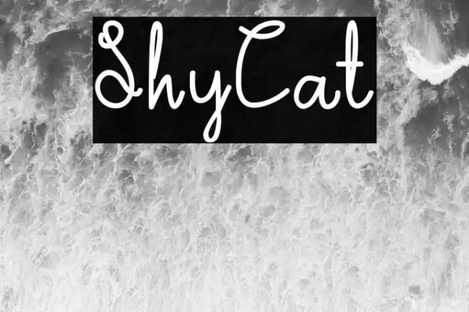 ShyCat Font examples
