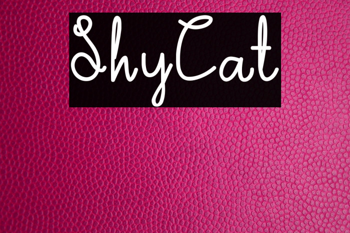 ShyCat Example 3