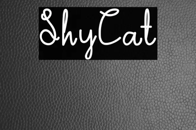 ShyCat Font examples