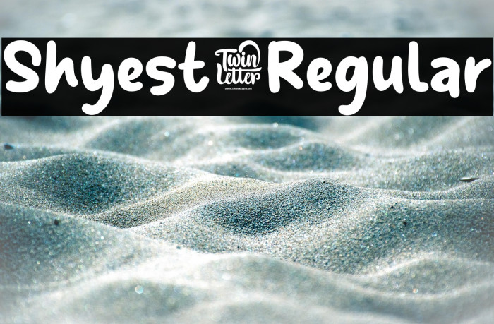 Shyest-Regular Example 1