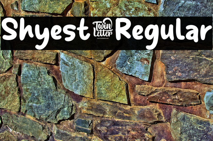 Shyest-Regular Example 2