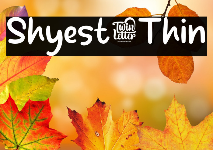 Shyest-Thin Example 2