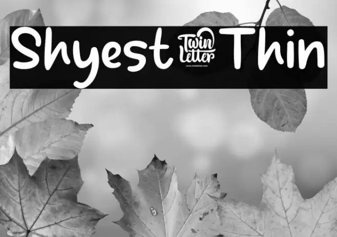 Shyest-Thin Font examples