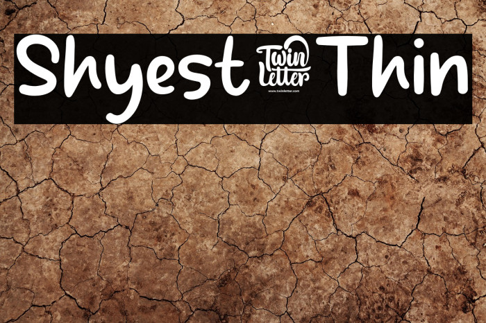 Shyest-Thin Example 3