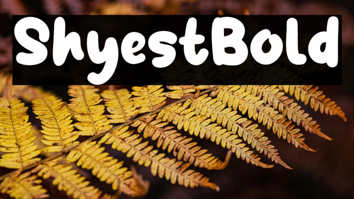 ShyestBold Example 1