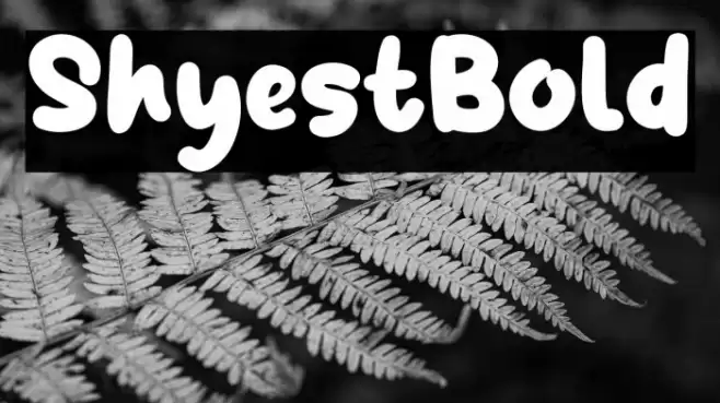 ShyestBold Schriftart examples