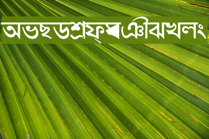 Shymal01 Font examples