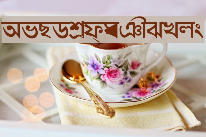 Shymal01 Font examples