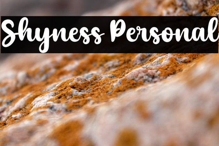 Shyness Personal Example 2