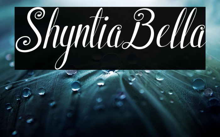 ShyntiaBella Example 2