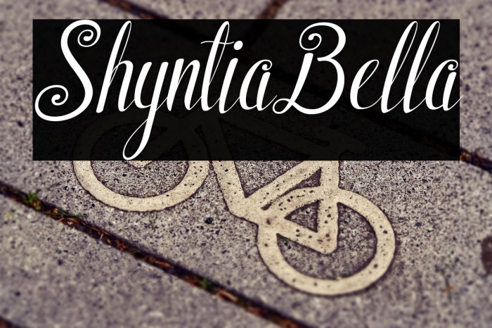 ShyntiaBella Example 3