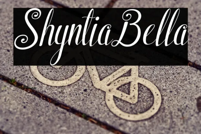 ShyntiaBella Example 3