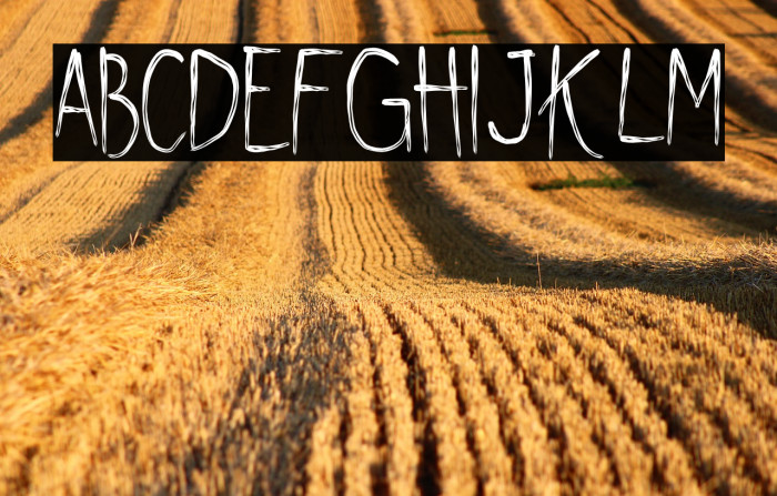 Shywill Seen Example 1