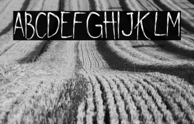 Shywill Seen Font examples