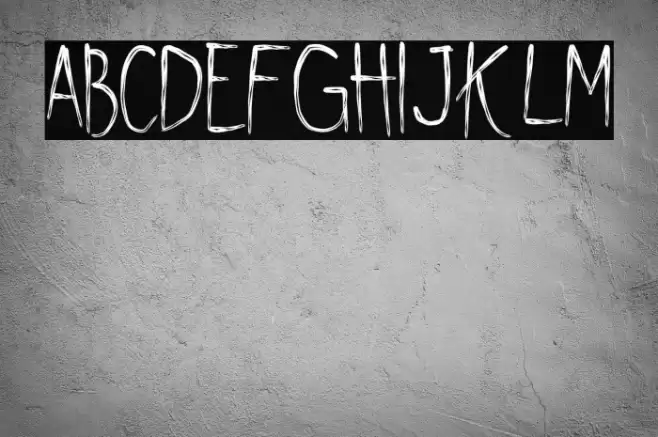 Shywill Seen Font examples