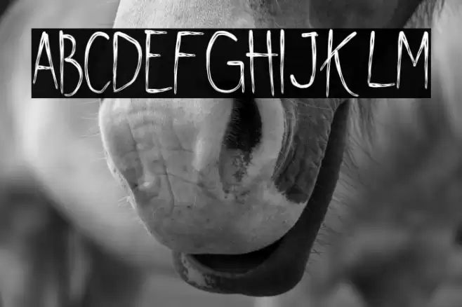 Shywill Seen Font examples