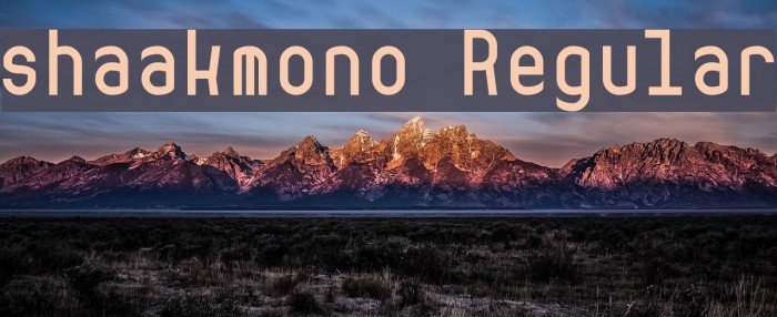 shaakmono Regular Font examples