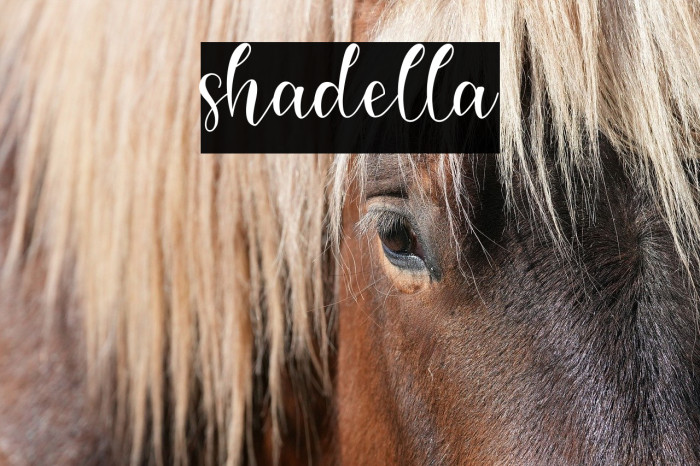shadella Example 3
