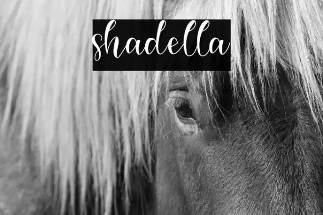 shadella Font examples