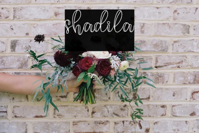 shadila Example 1