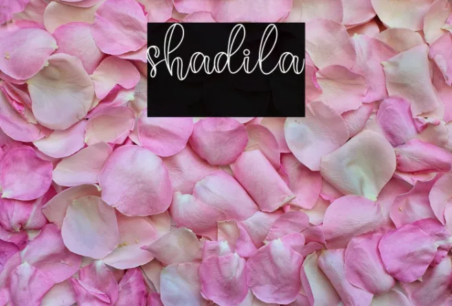 shadila Example 2